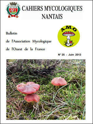 Cahiers Mycologiques 2013
